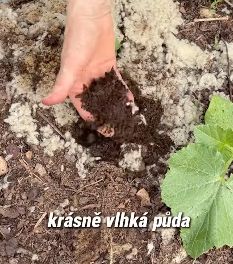 KRÁTKÉ VIDEO JAK VLNA DRŽÍ VLHKOST